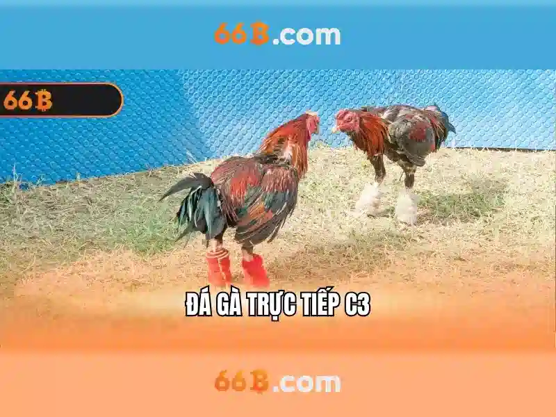 phuong-thuc-thanh-toan-66b