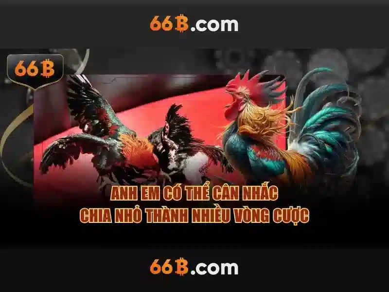 Hình minh họa FAQ