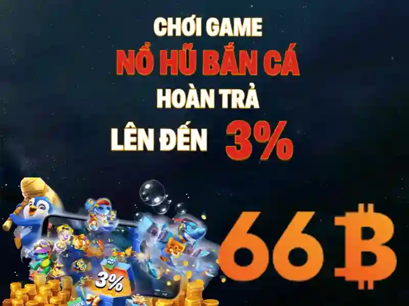 66b công trường quốc tế – Trải nghiệm và giá trị đỉnh cao