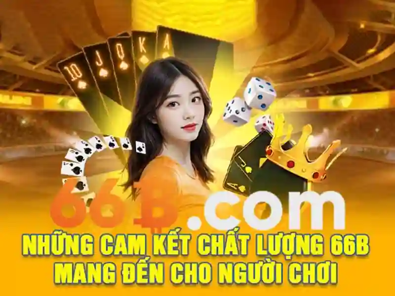 <!--IMG_PLACEHOLDER alt>Trải nghiệm người dùng và phản hồi cộng đồng-->